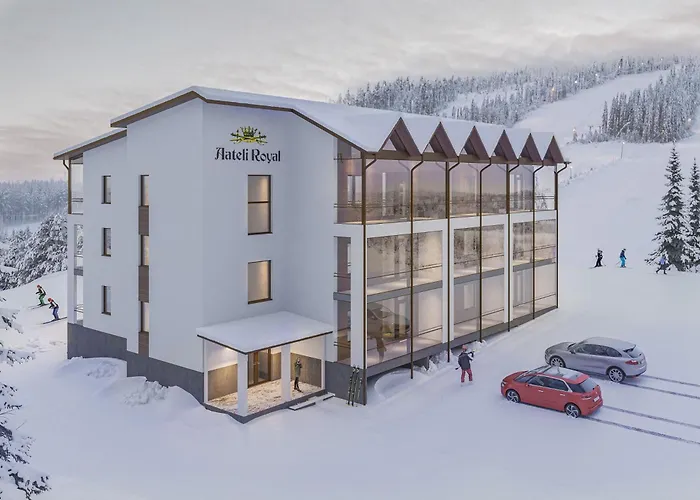 Vuokatin Aateli Royal דירה