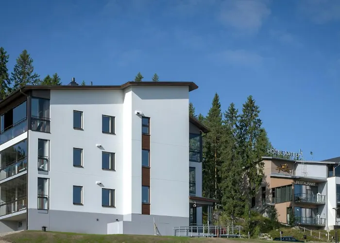 Vuokatin Aateli Royal